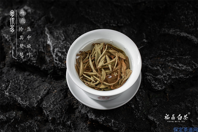 十几年的白茶白牡丹还能喝吗？