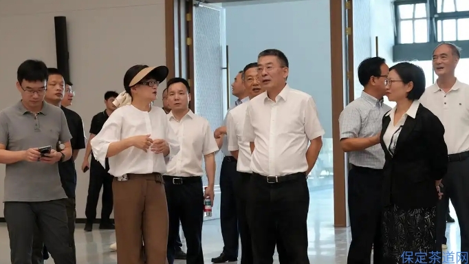 中国国际茶文化研究会一行调研龙坞茶镇